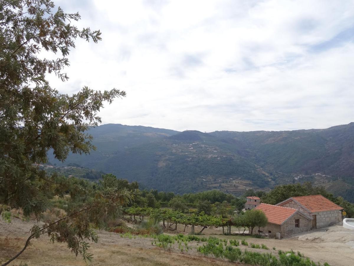 Quinta De S. Cipriano Villa Resende Eksteriør bilde
