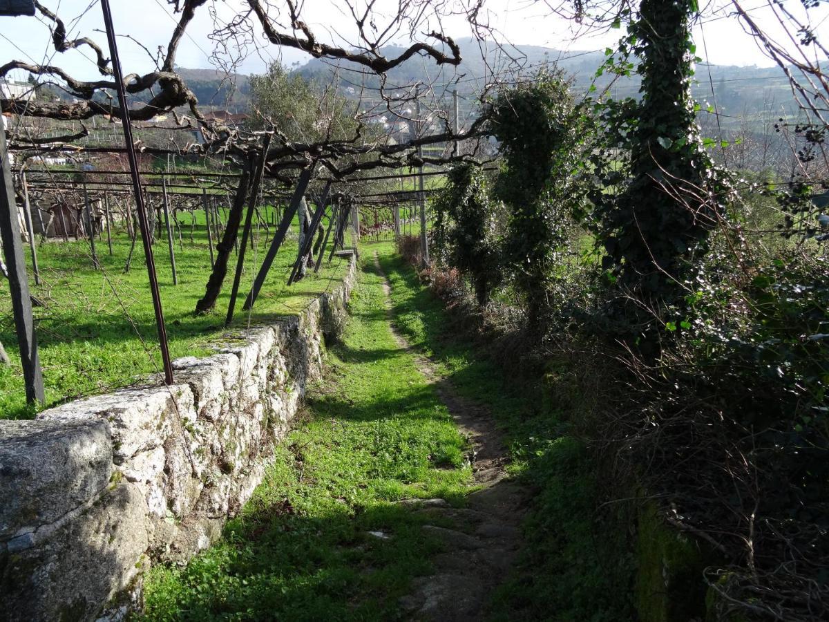 Quinta De S. Cipriano Villa Resende Eksteriør bilde