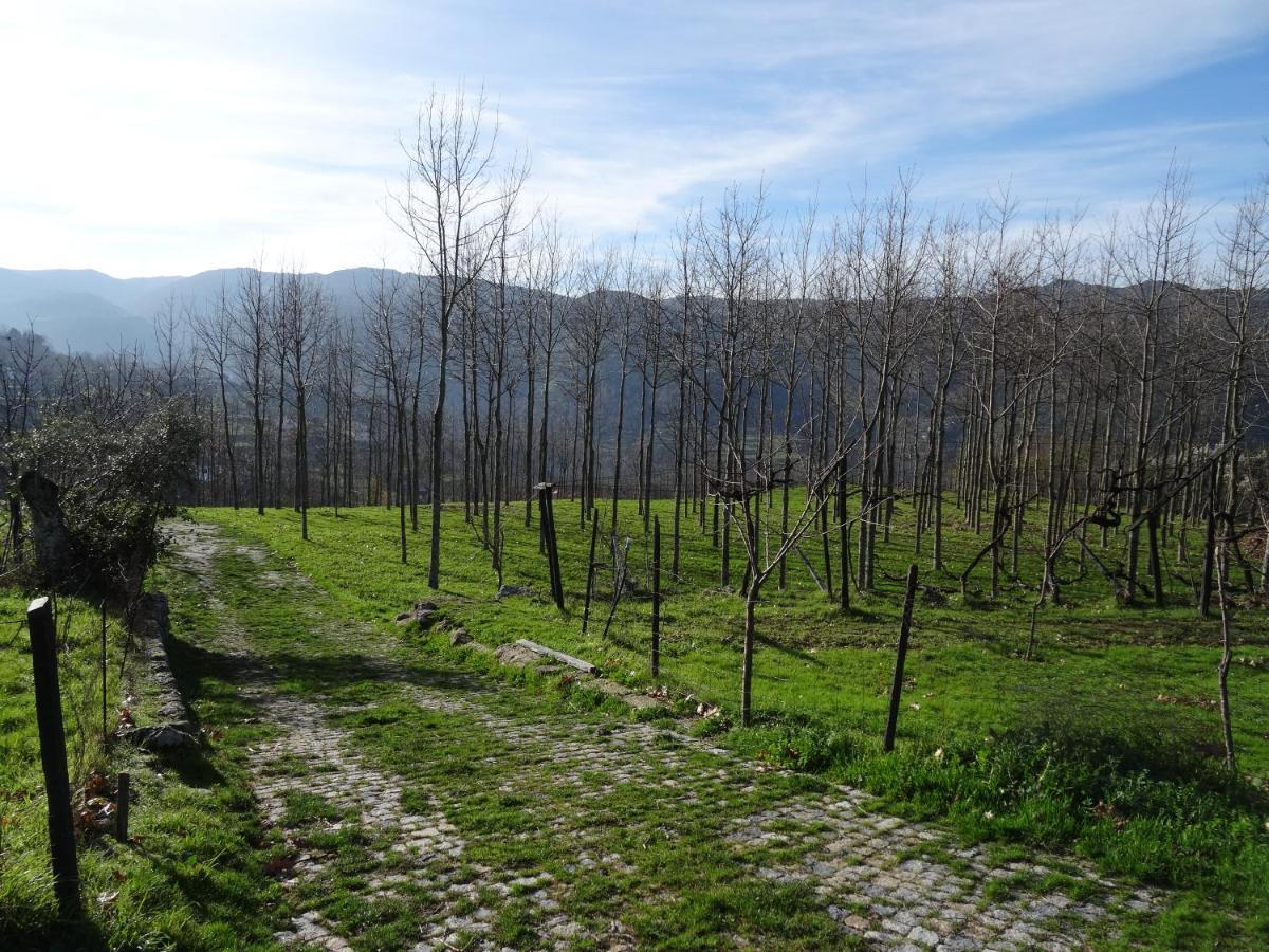 Quinta De S. Cipriano Villa Resende Eksteriør bilde