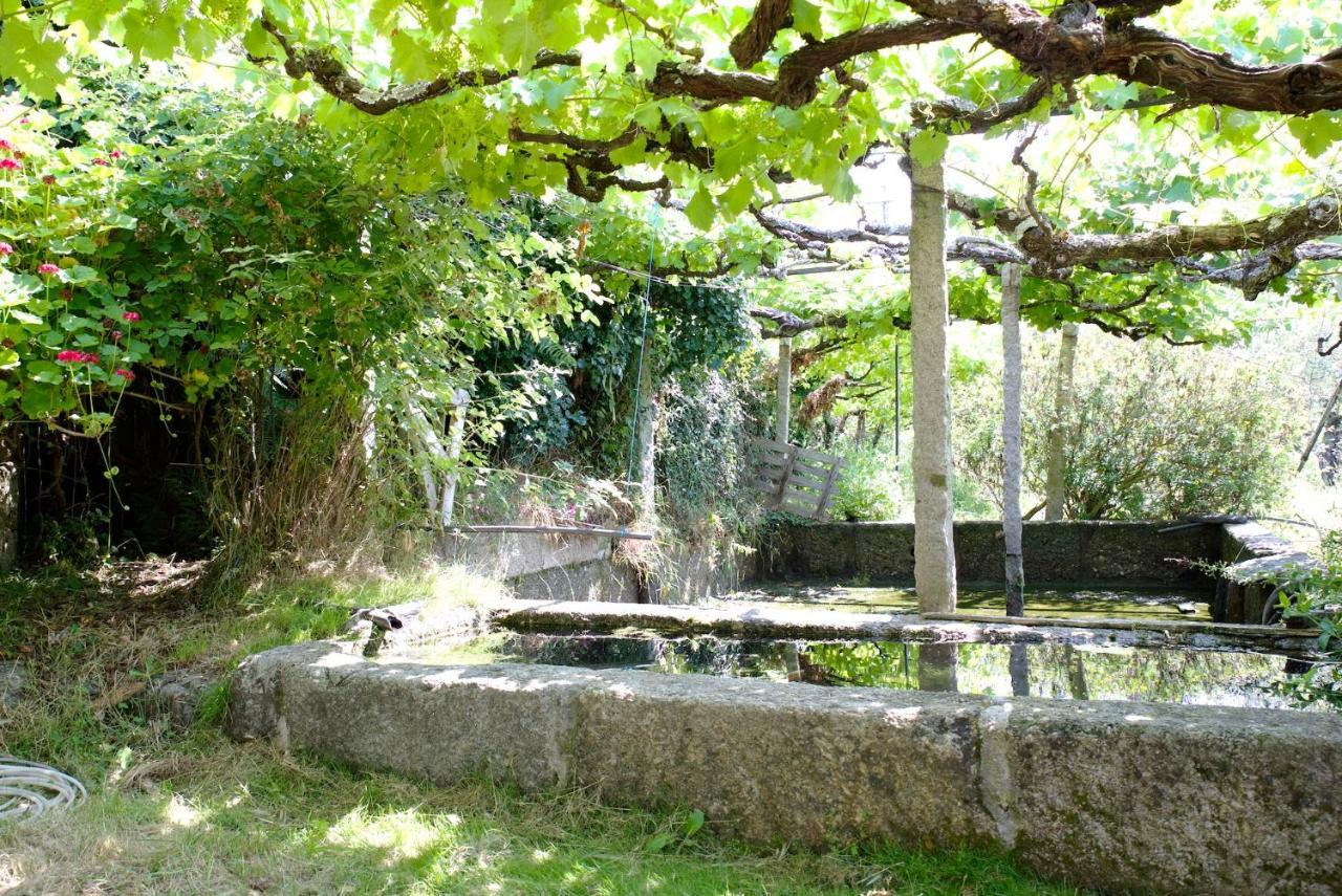 Quinta De S. Cipriano Villa Resende Eksteriør bilde