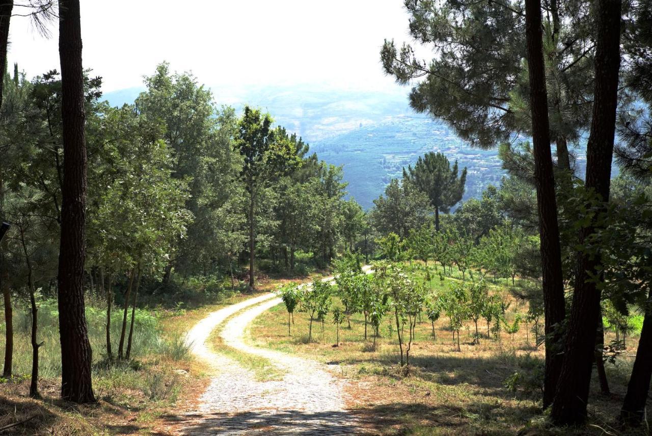 Quinta De S. Cipriano Villa Resende Eksteriør bilde