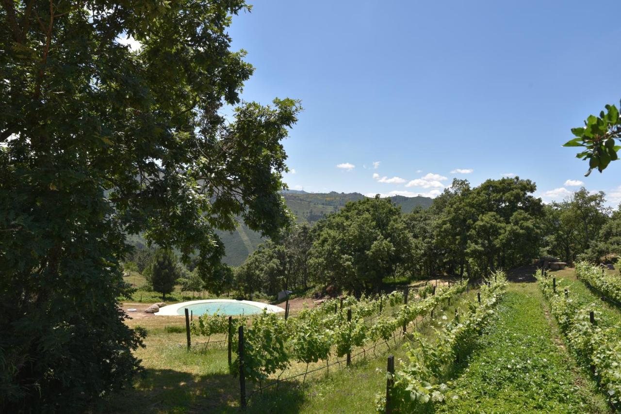 Quinta De S. Cipriano Villa Resende Eksteriør bilde