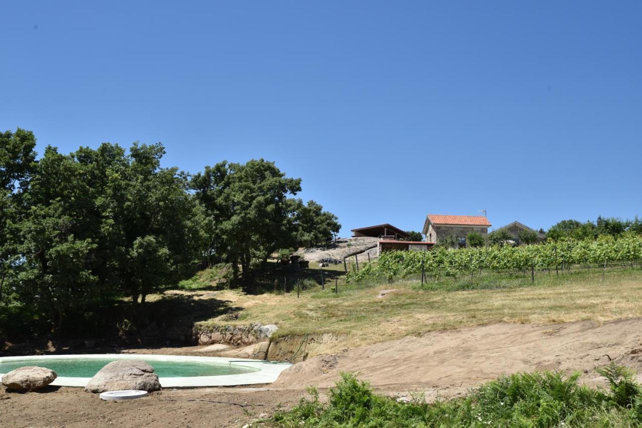 Quinta De S. Cipriano Villa Resende Eksteriør bilde